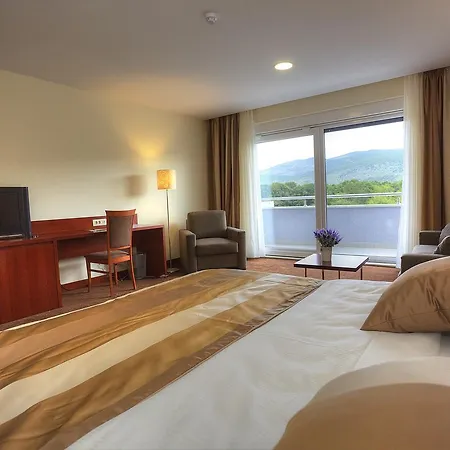 Palace 4*